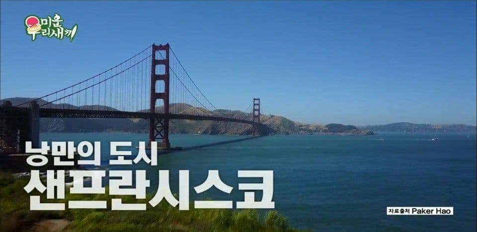 2019 SBS 미운 우리 새끼 (이상민, 탁재훈) main image